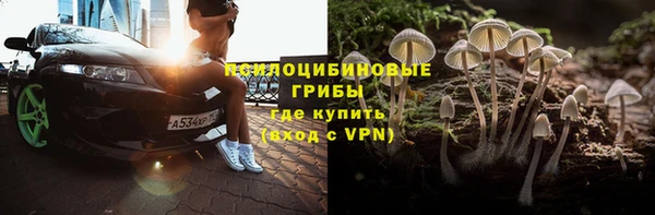 гидра Алзамай