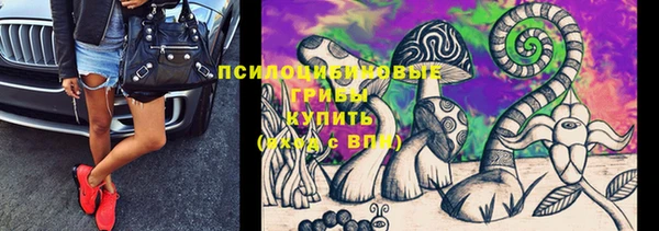 скорость Алексин