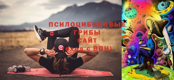 скорость Алексин