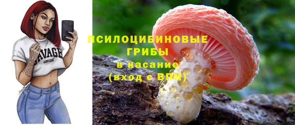 2c-b Алексеевка